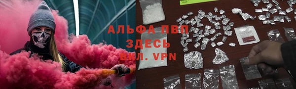 дмт Нея