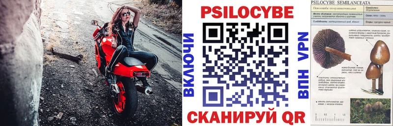 hydra tor  закладки  Ялта  Галлюциногенные грибы Psilocybe 