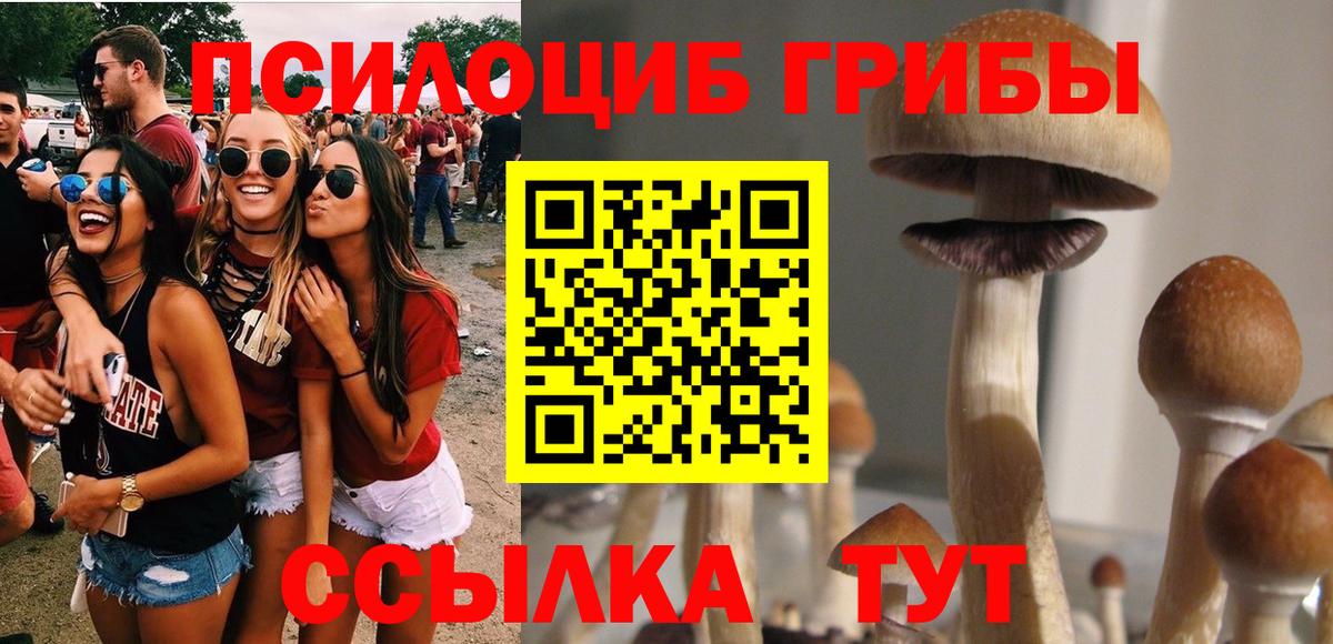 Галлюциногенные грибы Psilocybe  Ялта  Псилоцибиновые грибы Psilocybine cubensis 